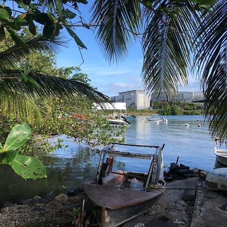Appartement Avec Vue Panoramique De Pointe-A-Pitre Kültér fotó